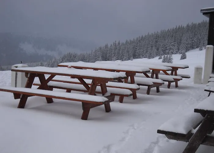 Guest house Moravska Bouda 3*