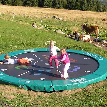 Casa de hóspedes Moravská Bouda Špindlerŭv Mlýn