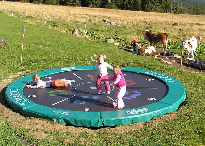 بيت ضيافة Moravska Bouda Špindlerŭv Mlýn